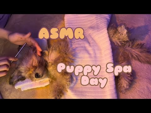 First ASMR video Puppy Spa Day (Brushing, Haircutting, Massages)