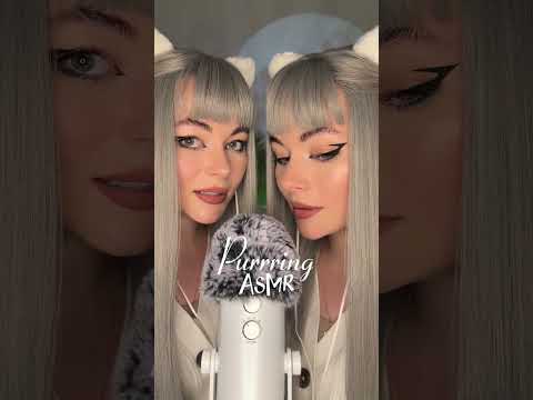 I have a twin 🧚🏼‍♀️🫣 #asmr #purring