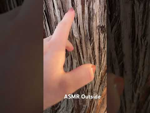 #sleep #relaxingtriggers #asmrsleep #outdoors #trees #asmr #tinglingsounds #sleepaid