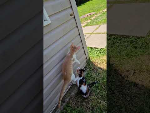 Jaydyn and Spooks