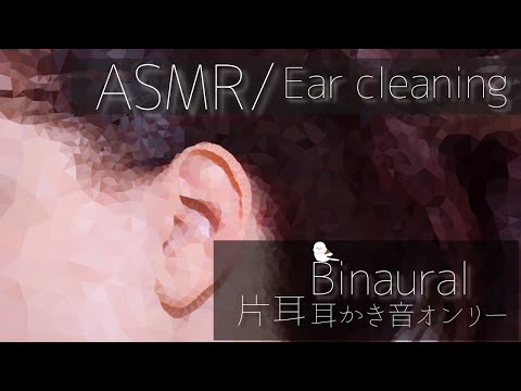 【ASMR/Ear Cleaning/Binaural】鼓膜にマイクをつけて耳かき【片耳版/耳かき/イヤホン必須】