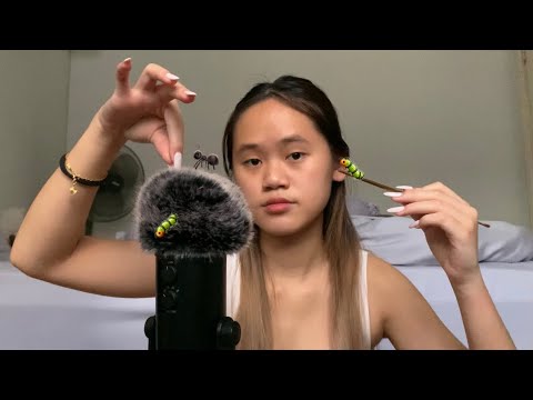 ASMR bug searching and plucking 🐜