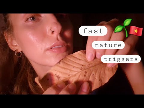 Fast Triggers ASMR 🌿 Street-Found Leaves & Plants from Vietnam