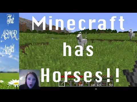 Minecraft ASMR Twitch Stream - softly spoken and whispered 1/5