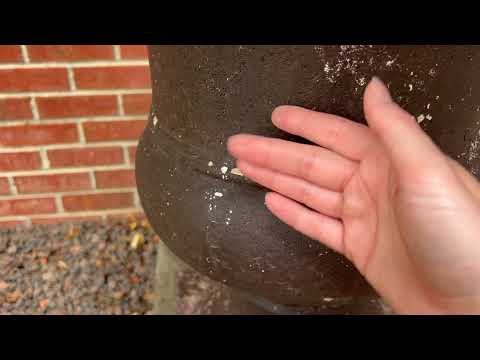ASMR Tapping and Scratching Outside
