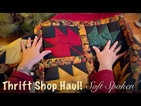 ASMR Thrift Shop Haul from Salvation Army! (Soft Spoken only) See what I bought!