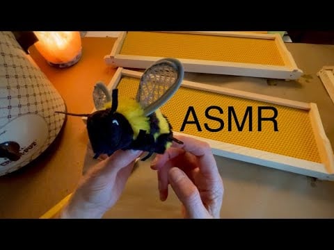 Painting Wax on Beehive Frames ~ ASMR