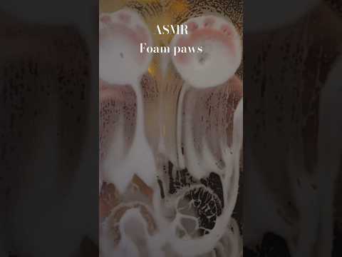 Foam paws 🐾 #asmr #foampaws #visualtriggersasmr #shortvideo