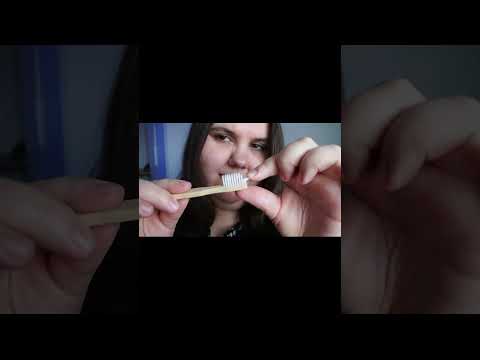 ASMR | ASMR Triggers Small Brush