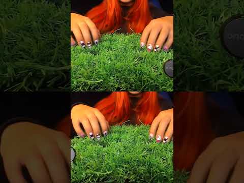 This Sound Is So Satisfying… 😍 | ASMRScratching (No Talking) #tingles #shorts #asmr