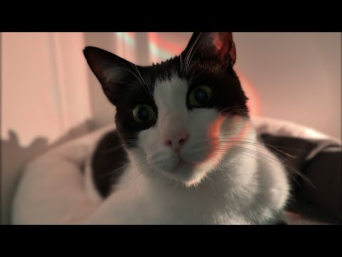 ASMR Norman’s favourite trigger words