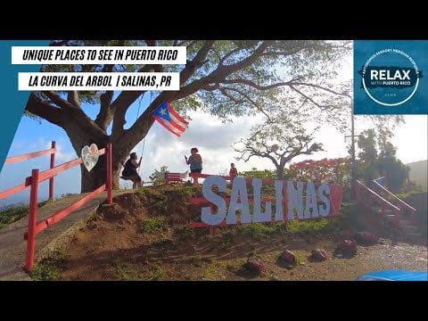 [ASMR] Unique Spot in Puerto Rico | La Curva del Árbol, Salinas PR | Relaxing Ambience