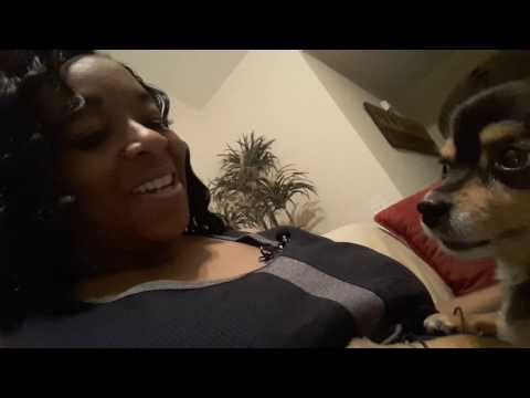 ASMR- Doggy Grooming-