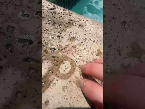 finding faces in the pool concrete asmr #asmr #creative #funnyasmr #lofiasmr #outdoorasmr