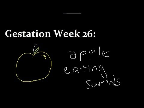 "ASMR" "Roleplay": You and Your Twin Listen to the Sound of an Apple Going Down the Body in the Womb