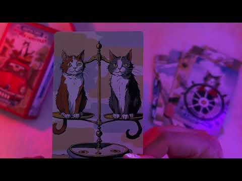 asmr ~ обзор колоды «котики тарограда» 😽❤️