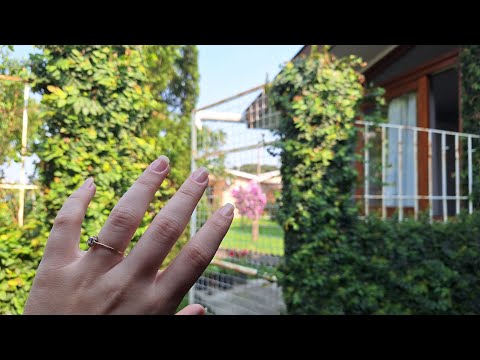 ASMR NA RUA pátio da minha casa 🏠  #2