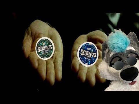 Which Ice Breaker Will You Choose [FURRY ASMR]