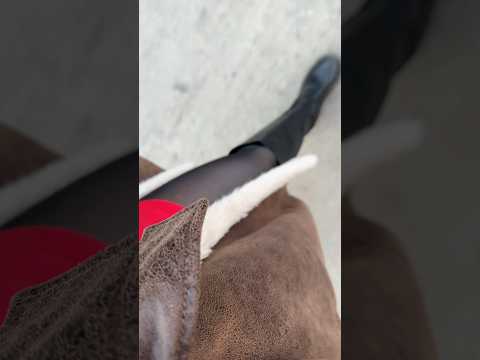 ASMR Spaziergang mit schwarzer glänzender Strumpfhose am Eis. 🧊