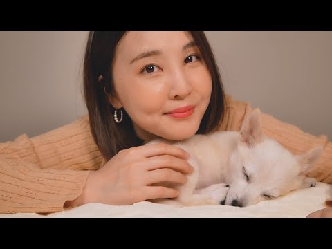 추운 겨울, 차디찬 보호소에서 태어난 보스 이야기｜사료 먹기, 빗질, 스킨 케어 ASMR