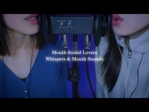 【ASMR】マウスサウンド愛好家2人が語りながらマウスサウンド👄 [@sumomorelaxASMR さんコラボ🍑 ]