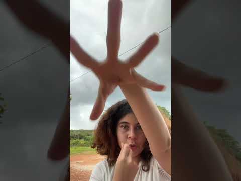 ASMR no interior ❤️