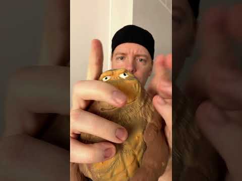 ASMR Sensory Exam #asmr