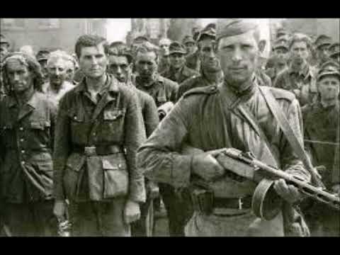 Asmr Battles of the Courland WW2