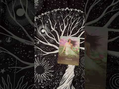 🪷 Flourish 🌸 Fairy Oracle Card #asmr #oraclecards