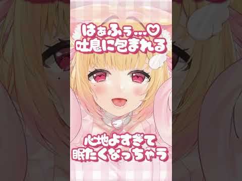 【ASMR】はーはーふーふー呼吸音に包まれてしあわせ夢ごこち♡  #asmr #vtuber #囁き#blessings #バイノーラル #whispering #shorts