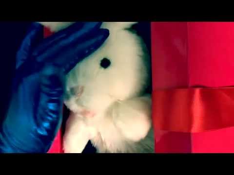 Gloves and Bunny／(^ x ^=)＼ Time♥Cute surprise ! [[ASMR]]
