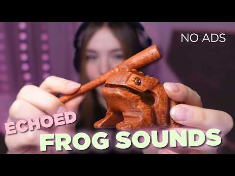 ASMR  💕 Wooden Frog 💕 1 HOUR NO ADS