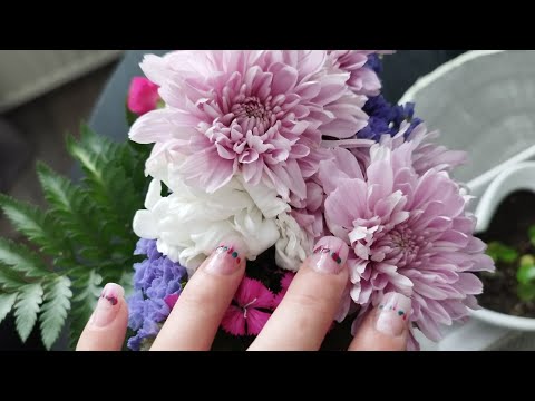 ASMR- Short updated apartment tour with whisper