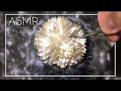 ASMR || 13 Triggers in 13 Minutes ⏱️ (No talking) ~ Jonathan ASMR