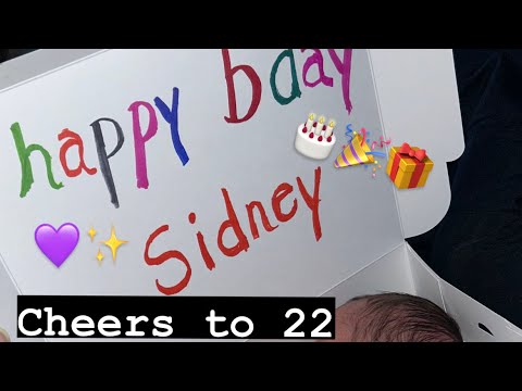 Vlog #235 - Two new Babies and a toddler
