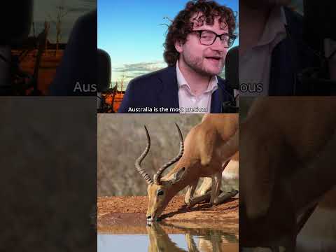 The Rainbow Serpent, Ancient Australian Creator God #asmr #asmrfacts