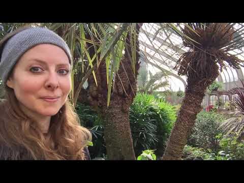 ASMR in the Winter Garden