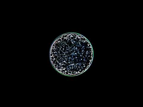 ASMR – 19 Rice, rice baby [No talking]