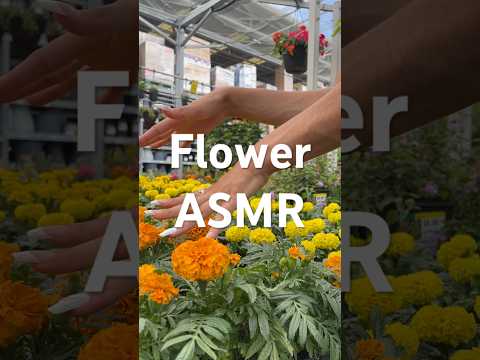 Local flower girl gives you ASMR!💐