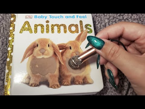 ASMR🐰Mini Mic on Sensory Books🐰Tracing, Tapping Sounds