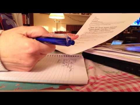 ASMR roleplay - travel planning, whispered