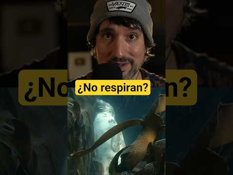 ¿Cómo duermen las focas? 🙀 #asmr #curiosidades #cosasquenosabias #datoscuriosos #naturaleza