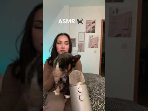 ASMR purring