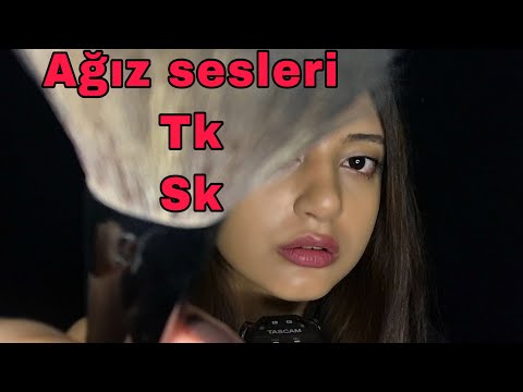 TÜRKÇE ASMR || TK TK, SK SK, YÜZ FIRÇALAMA | FACE BRUSHING 💤