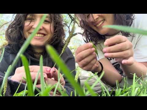 ASMR with my sister not my clone