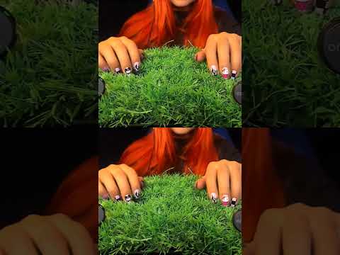 This Sound Is So Satisfying… 😍 | ASMRScratching (No Talking) #tingles #shorts #asmr
