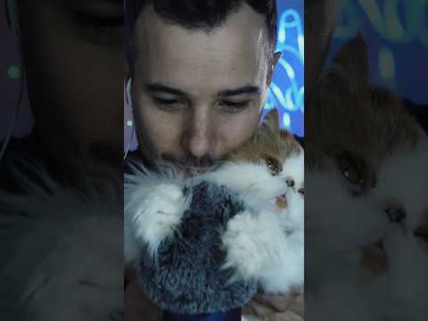 Et si mon chat faisait le meilleur ASMR ?🐱🎧