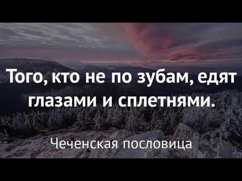 asmr ruscha va uzbekcha aforizmlar