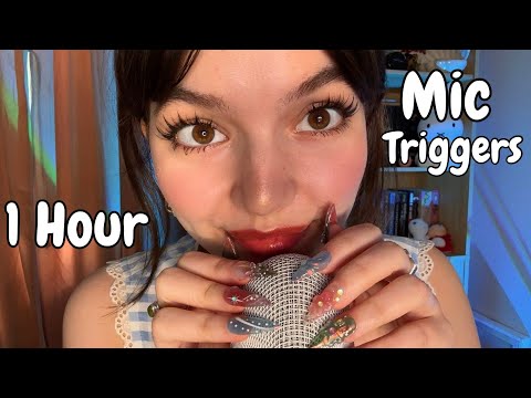 ASMR | 1 Hour Fast Mic Triggers (Mic Scratching, Swirling, Brushing, Rare Mic Triggers)