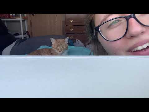 My Cat Does NOT Like ASMR.